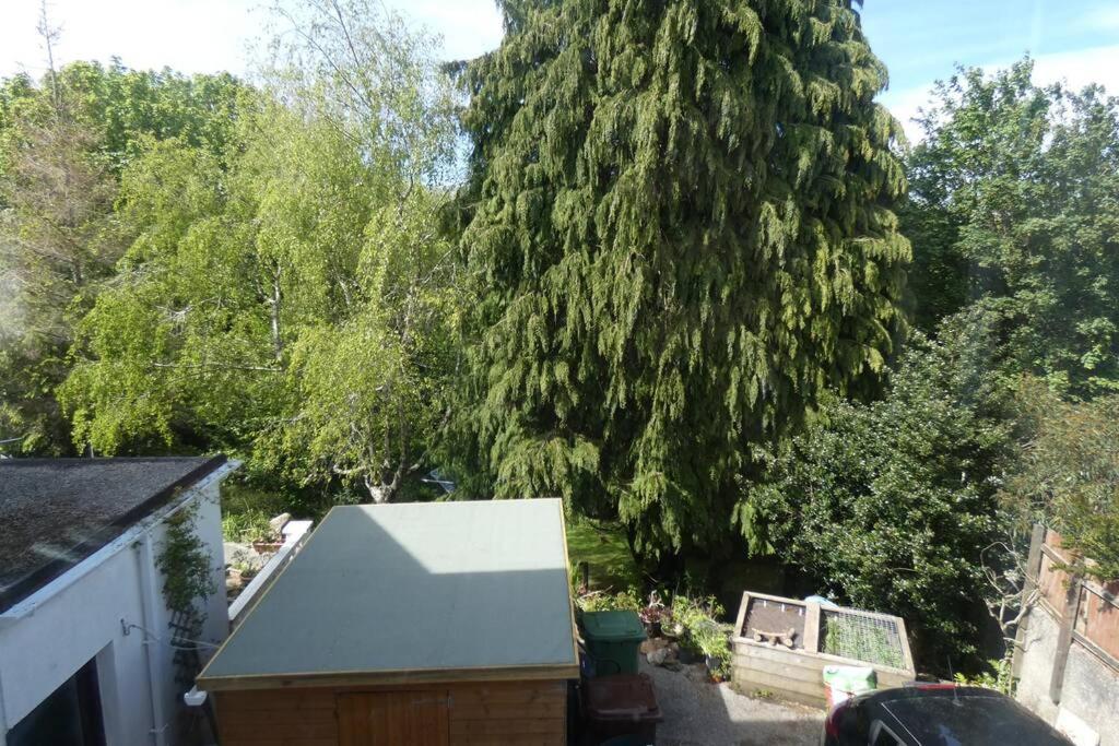 Ferney Croft Appartement Saint Erth Buitenkant foto